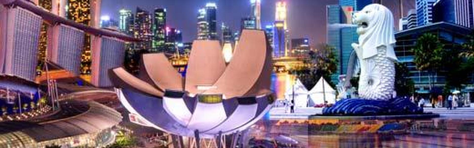 Singapore Winter Special